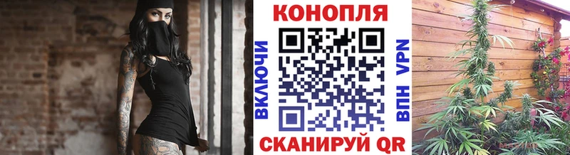 Купить Сокол Псилоцибиновые грибы Меф мяу мяу COCAIN mega ТОР МАРИХУАНА ГАШ
