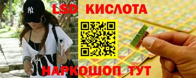 PSILOCYBIN Краснодар