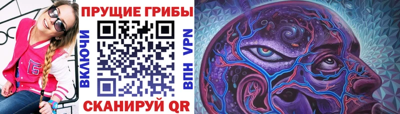 купить наркоту  Сокол  Галлюциногенные грибы ЛСД 