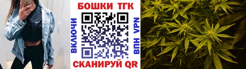 Конопля индика  Сокол 